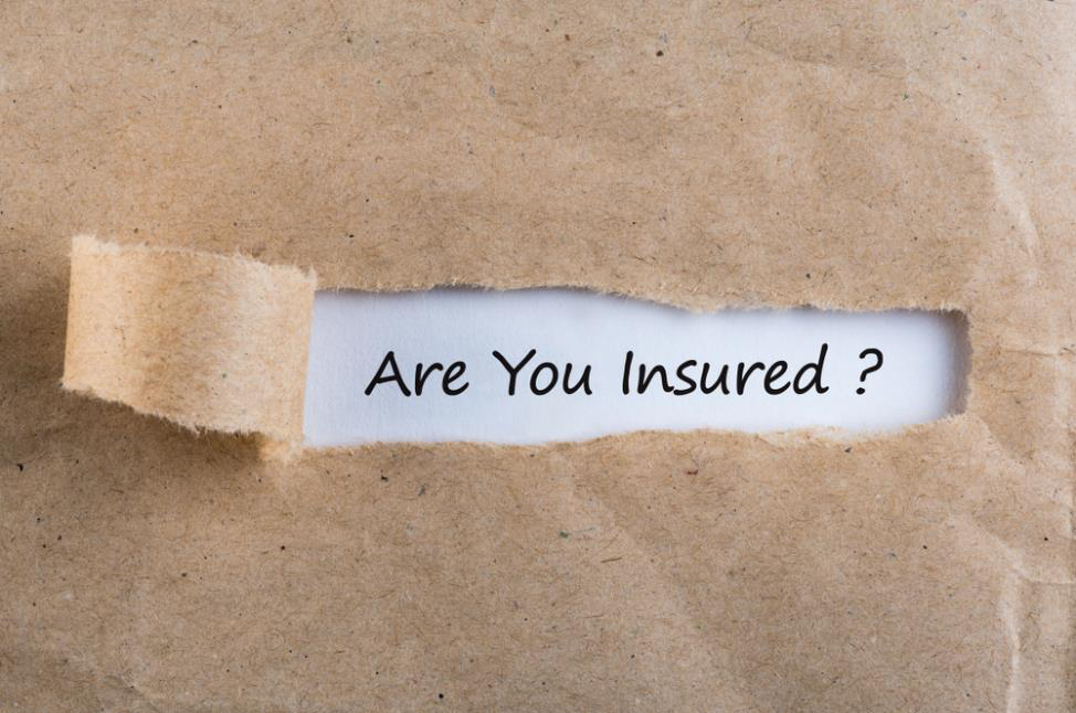 Protecting Your Loved Ones with Term Insurance: What You Need to Know